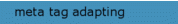 meta tag adapting