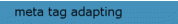 meta tag adapting